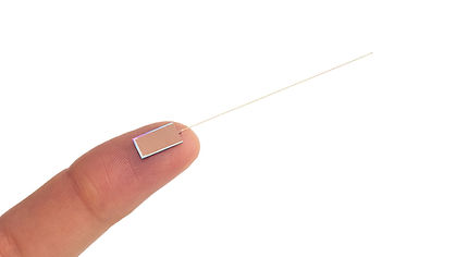 Neuropixels 1.0 NHP long bare die on fingertip_new_RESIZED.png